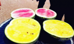 体制内的吃瓜爆料是什么,吃瓜爆料背后的真相与内幕